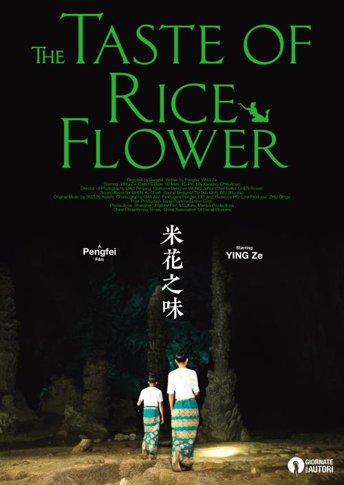 南宁不动产证查询网址